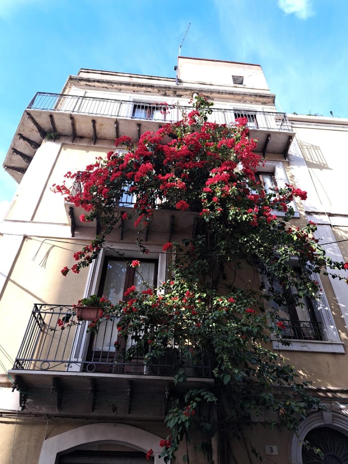 B&B L'Angolo Sulla Piazza Mirabella Imbaccari Exteriör bild